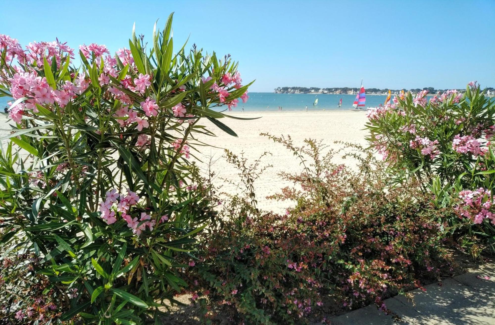 Le Capitole - Studio Plage Benoit Dans Residence Face Mer La Baule-Escoublac Екстер'єр фото
